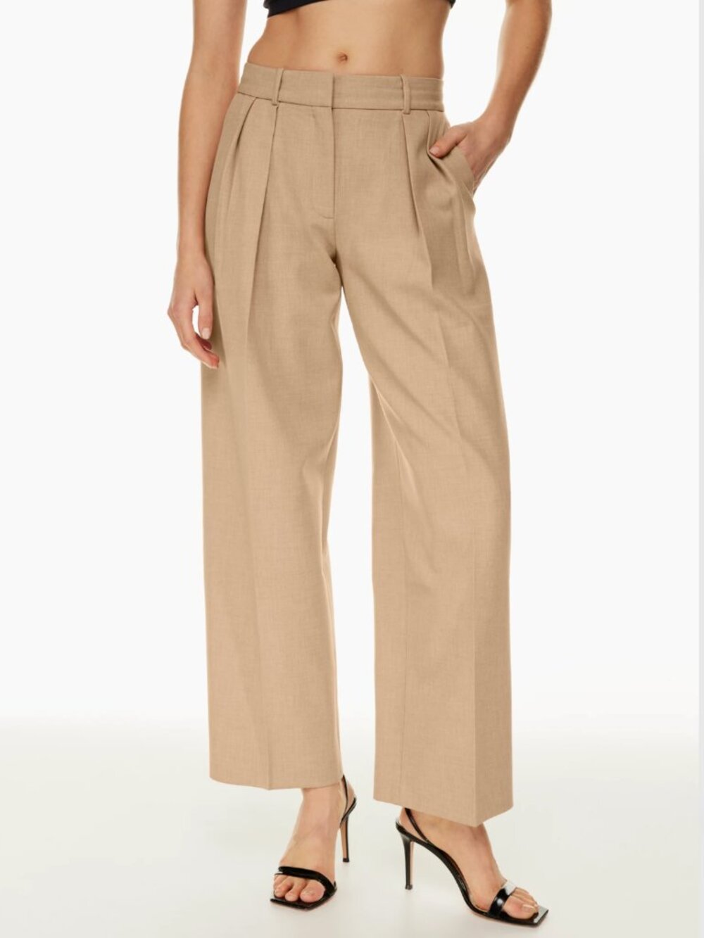 Aritzia Babaton Revue Pants